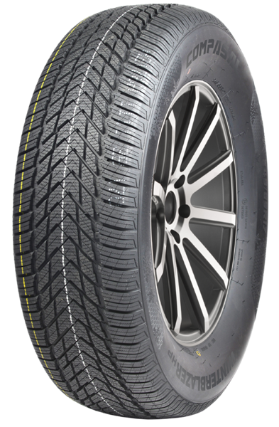 Compasal WinterBlazer HP 205/55 R16 91 H