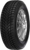 Mastersteel WINTER + W1 195/55 R16 87 H